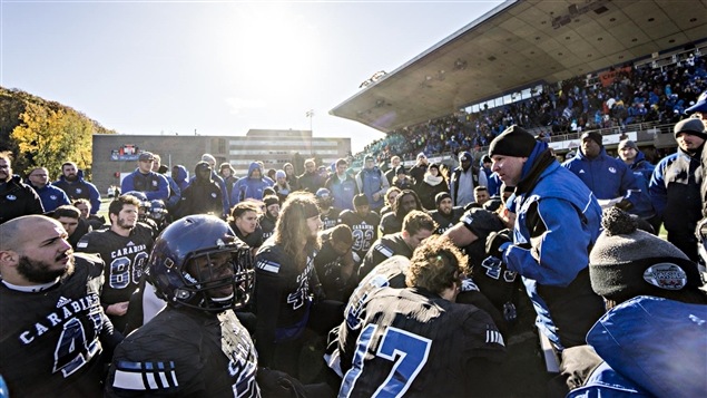 Les Carabins de l'Université de Montréal