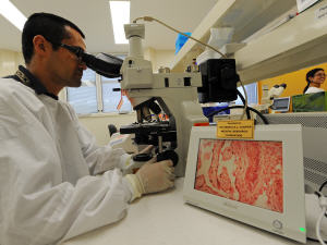 Un microbiologiste à l'oeuvre. Un microbiologiste à l'oeuvre.