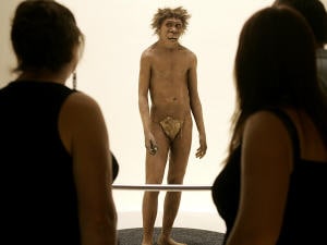 Représentation d'un homme de Néandertal Représentation d'un homme de Néandertal