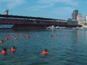 Des baigneurs dans le fleuve St-Laurent, à la hauteur du quai Jacques-Cartier, dans le Vieux-Port de Montréal Des baigneurs dans le fleuve St-Laurent, à la hauteur du quai Jacques-Cartier, dans le Vieux-Port de Montréal