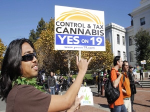 Un partisan de la proposition 19 à l'université de Berkeley, en Californie Un partisan de la proposition 19 à l'université de Berkeley, en Californie