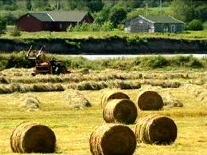 Agriculture Agriculture
