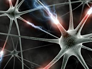 Neurone Neurone