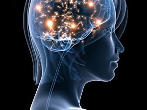 Le cerveau d'une femme Le cerveau d'une femme