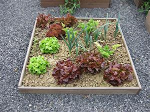 Potager Potager