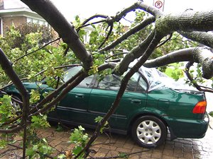 Un arbre est tombé sur une voiture à Montréal. Un arbre est tombé sur une voiture à Montréal.