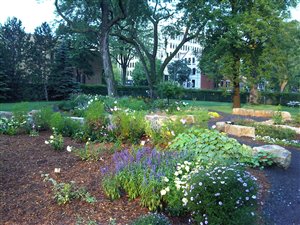 Le jardin écologique de la paix se veut un mémorial vivant dédié à Anastasia De Sousa, victime de la fusillade à Dawson. Le jardin écologique de la paix se veut un mémorial vivant dédié à Anastasia De Sousa, victime de la fusillade à Dawson.
