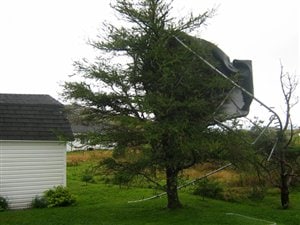 Une trampoline s'est retrouvée sur l'arbre d'un voisin après le passage de l'ouragan Maria. Une trampoline s'est retrouvée sur l'arbre d'un voisin après le passage de l'ouragan Maria.