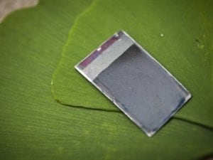 La feuille artificielle La feuille artificielle