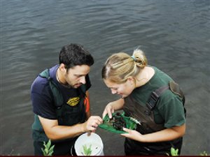 Deux scientifiques du programme de recherches dans la Région des lacs expérimentaux Deux scientifiques du programme de recherches dans la Région des lacs expérimentaux