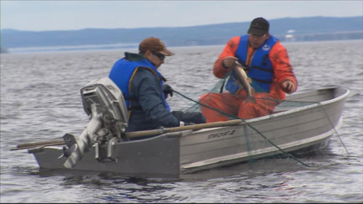 Bilan de la pêche traditionnelle au