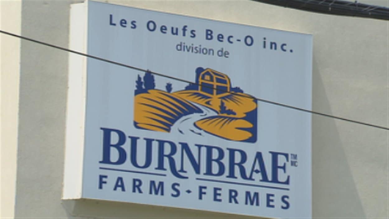 Usine forex ferme neuve