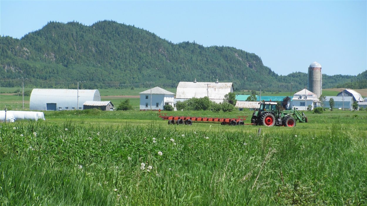 Production agricole dans le Bas-Saint-Laurent Production agricole dans le Bas-Saint-Laurent