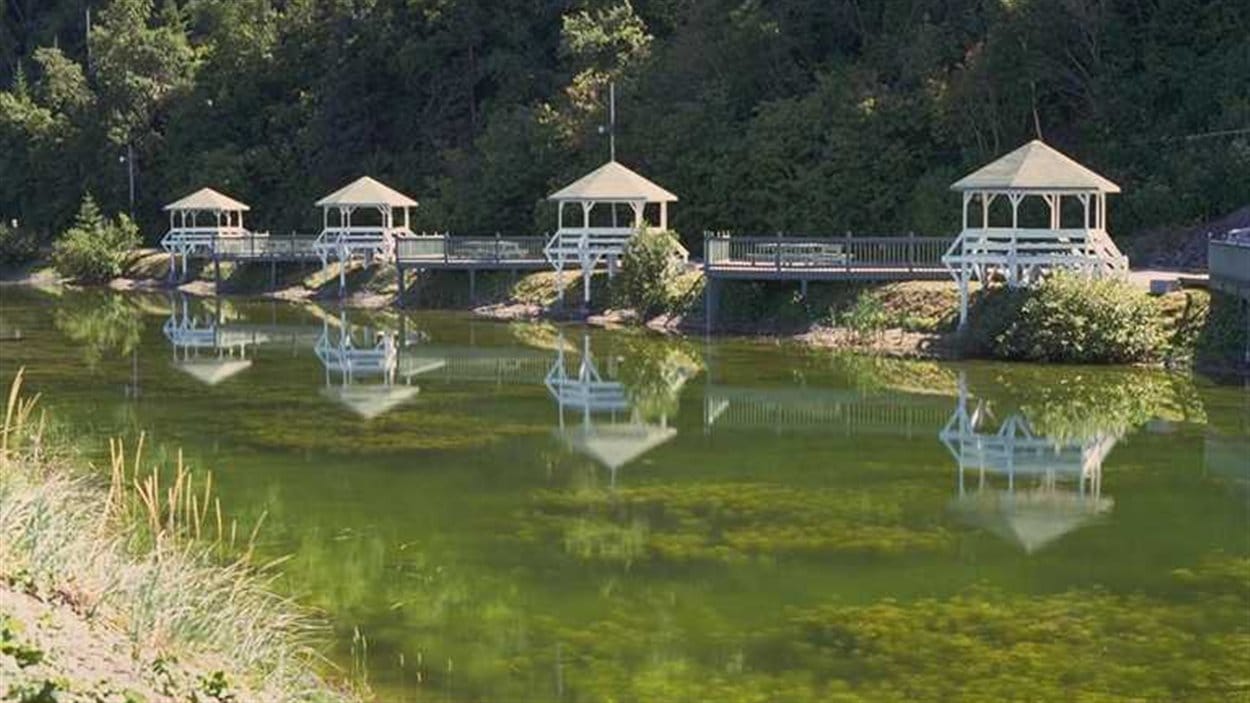 Deux corps repêchés dans l'étang de RivièreàClaude ICI.RadioCanada.ca