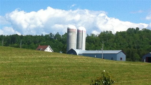 Ferme-BSL-Champ-agriculture Ferme-BSL-Champ-agriculture