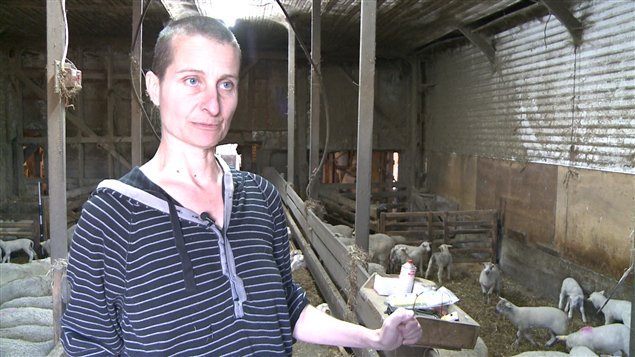 Manon Lelièvre des Bergeries du Margot . Manon Lelièvre des Bergeries du Margot .
