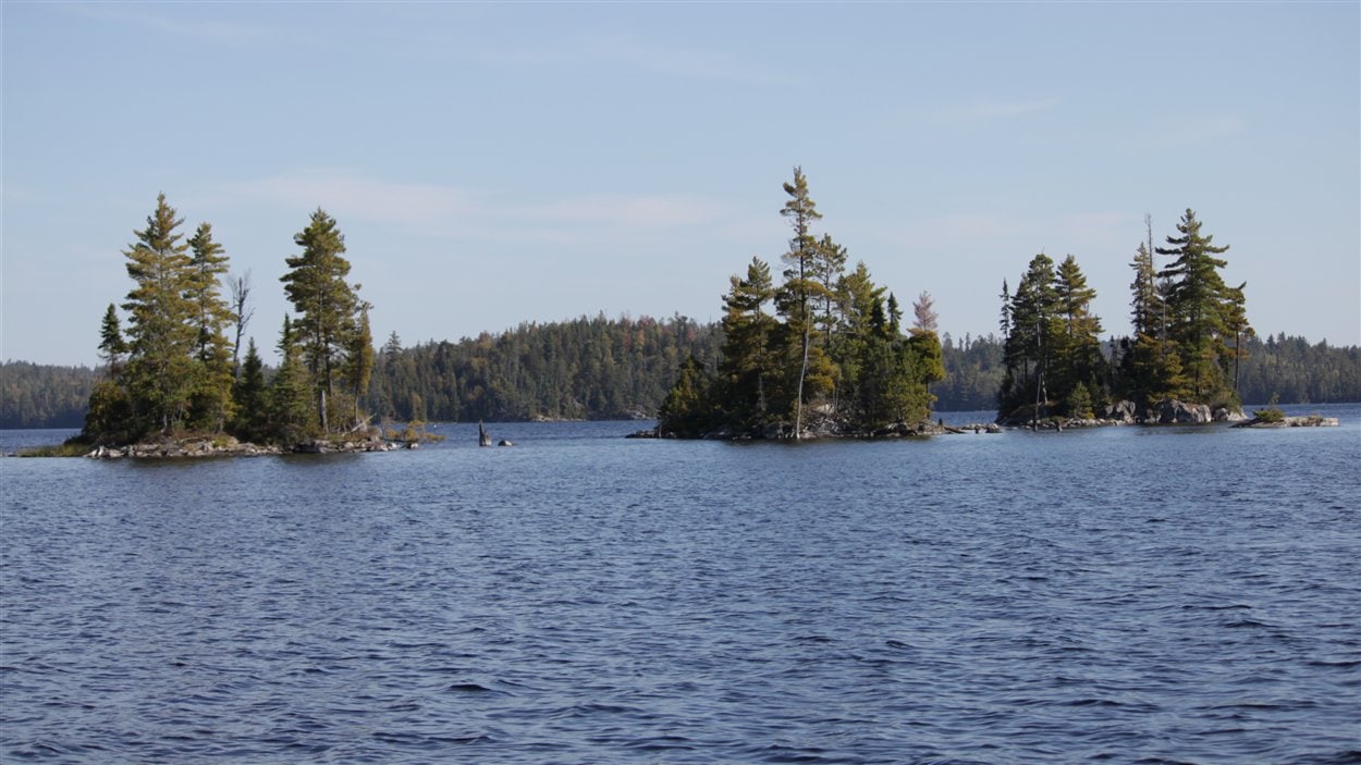 50 000 touladis ensemencés dans le lac Kipawa ICI.RadioCanada.ca