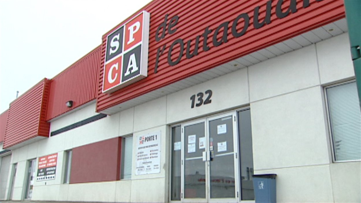 Les bureaux de la SPCA de l'Outaouais sont situés sur la rue de Varennes à Gatineau. Les bureaux de la SPCA de l'Outaouais sont situés sur la rue de Varennes à Gatineau.
