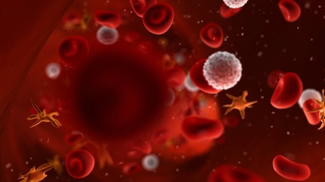 Représentaiton des composants du sang humain: les globules rouges et blancs, ainsi que les plaquettes.