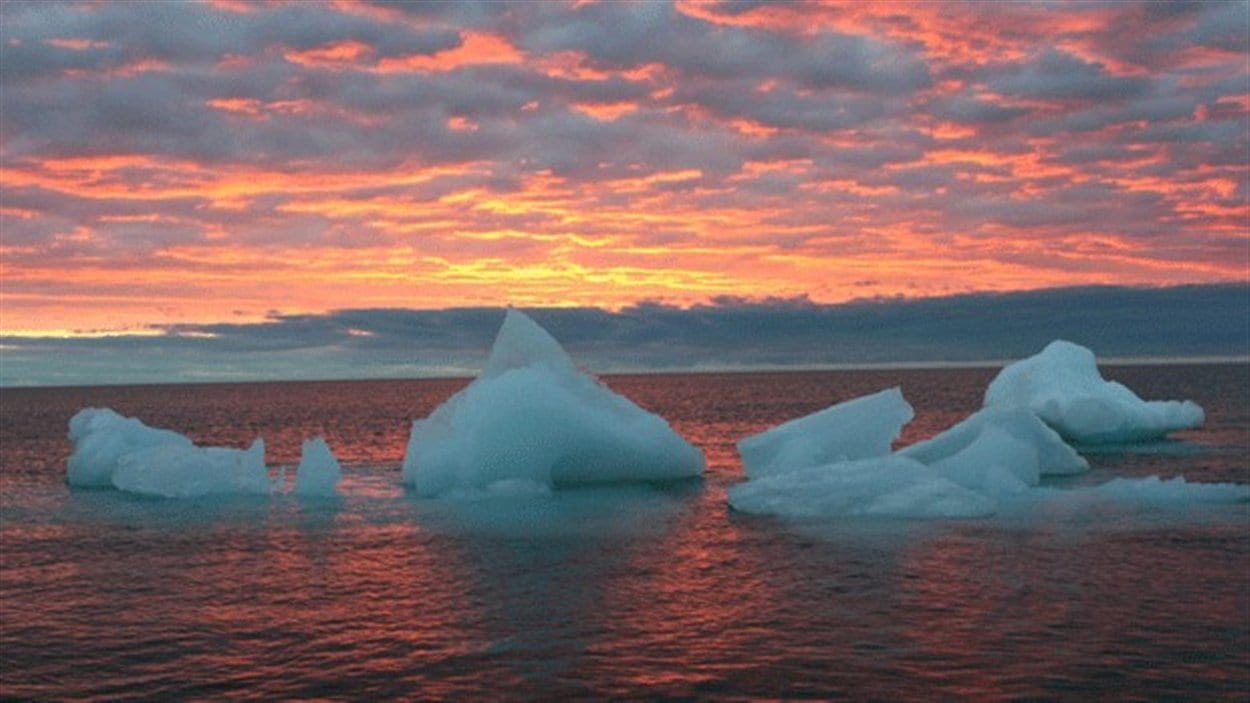 Iceberg dans l'Arctique de plus en plus acide Iceberg dans l'Arctique de plus en plus acide