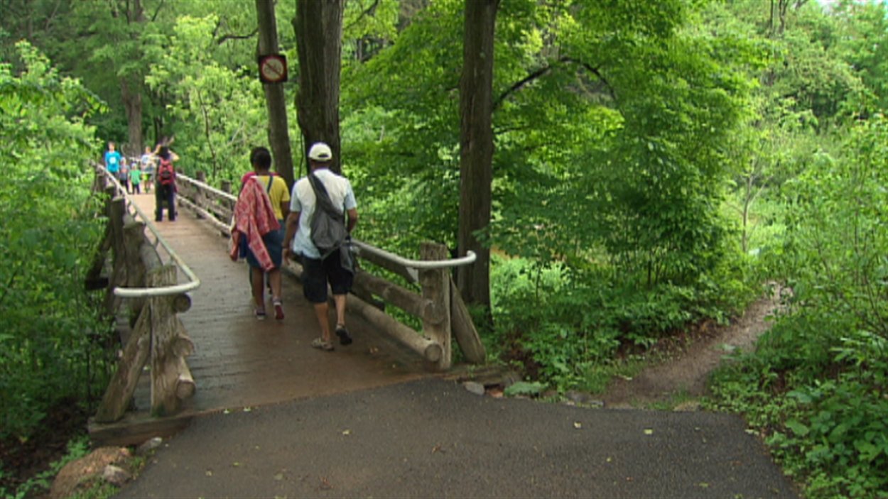 Parc de la Gatineau la CCN veut mieux encadrer les sentiers non officiels ICI.RadioCanada.ca