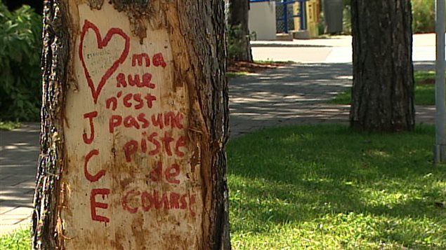 Arbre sur lequel est écrit : « ma rue n'est pas une piste de course ». Arbre sur lequel est écrit : « ma rue n'est pas une piste de course ».