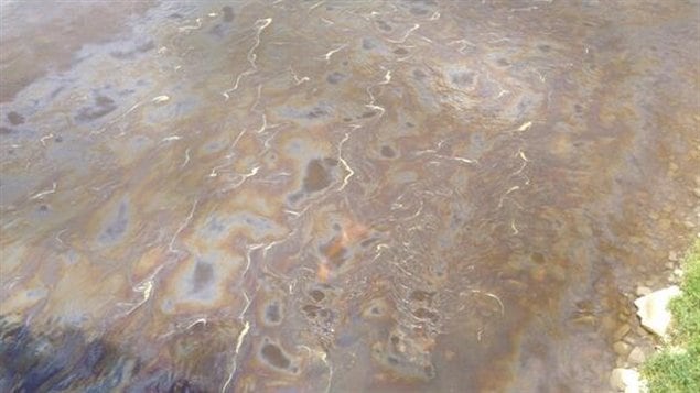 La rivière Chaudière, à Saint-Martin, en Beauce, est visiblement polluée par des hydrocarbures. La rivière Chaudière, à Saint-Martin, en Beauce, est visiblement polluée par des hydrocarbures.