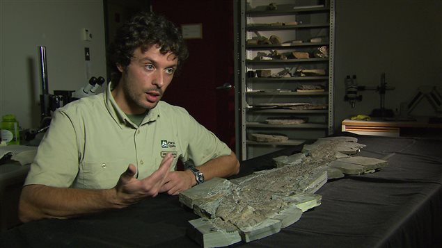 Olivier Matton et le fossile d'Elpistostege Olivier Matton et le fossile d'Elpistostege