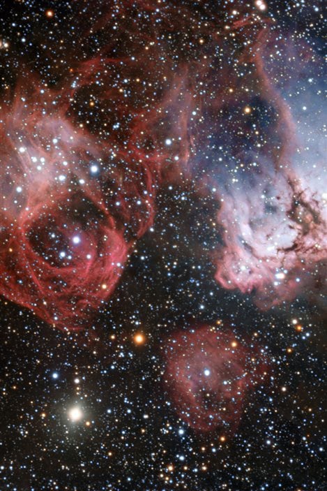 Cette image se focalise sur la région NGC 2035 baptisée Nébuleuse de la Tête de Dragon. Cette image se focalise sur la région NGC 2035 baptisée Nébuleuse de la Tête de Dragon.