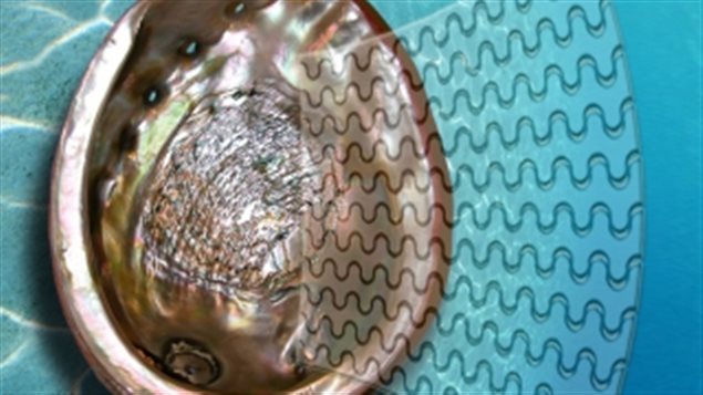 Les chercheurs ont gravé des réseaux de microfissures en 3D dans des lames de verre afin de créer des interfaces faibles similaires. Les chercheurs ont gravé des réseaux de microfissures en 3D dans des lames de verre afin de créer des interfaces faibles similaires.