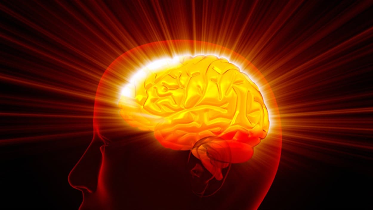 Représentation d'un cerveau Représentation d'un cerveau
