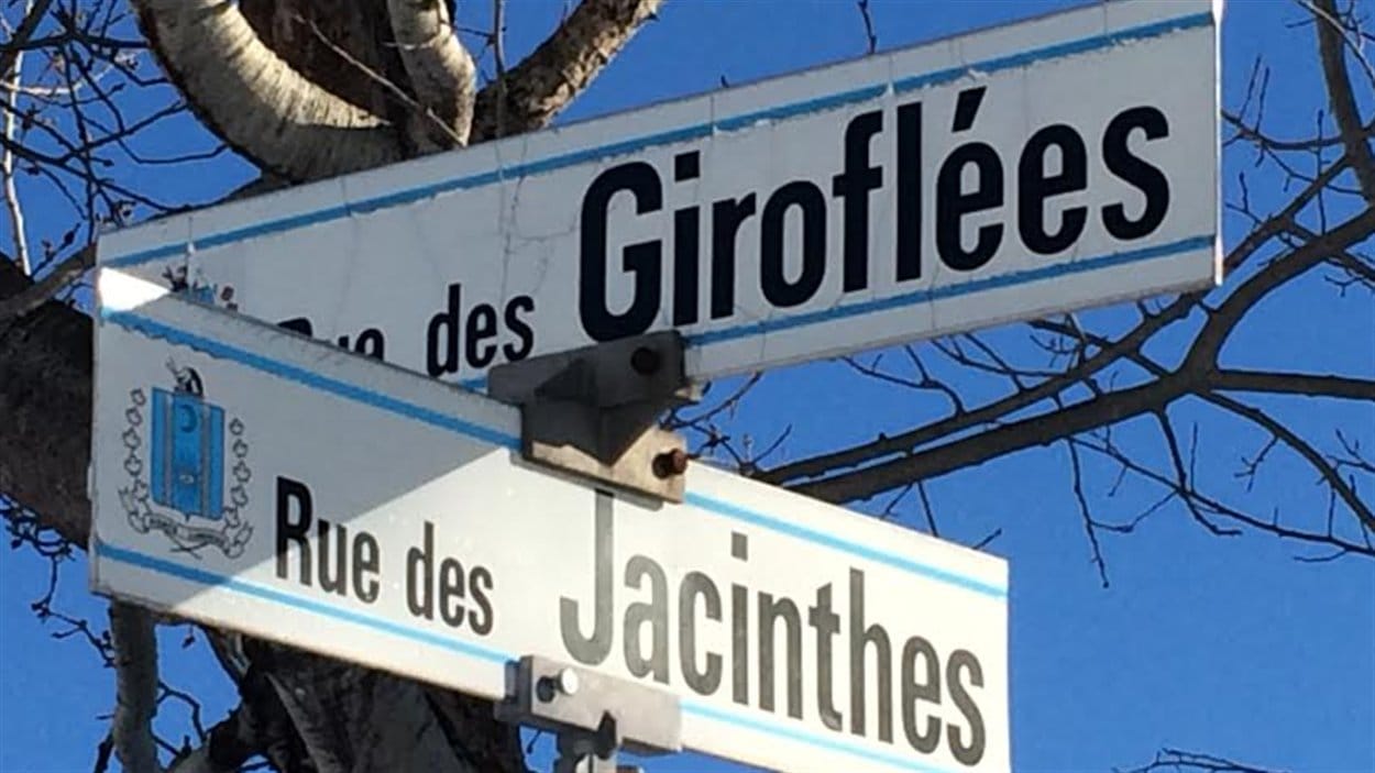 Fin Des Doublons Dans Les Noms De Rue Lvis En 2015 ICIRadio