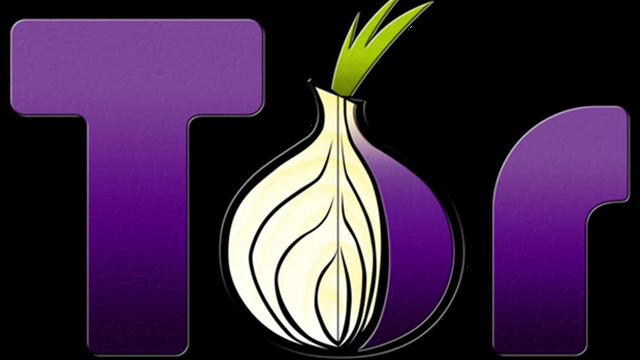 Le logo du projet Tor Le logo du projet Tor
