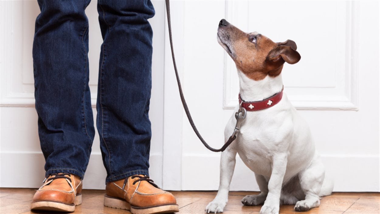 Un chien et son maître Un chien et son maître