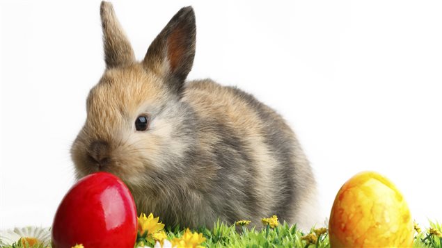Un lapin et deux oeufs de Pâques Un lapin et deux oeufs de Pâques