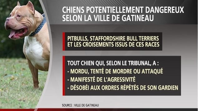 Caractéristiques des chiens potentiellement dangereux Caractéristiques des chiens potentiellement dangereux