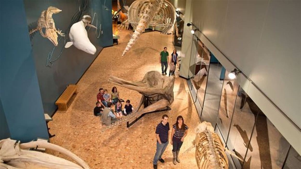 Le musée du Nouveau-Brunswick, à Saint-Jean Le musée du Nouveau-Brunswick, à Saint-Jean