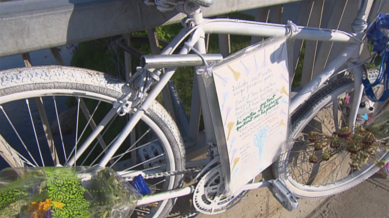 velo velo