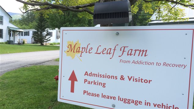 Maple Leaf Farm, centre de désintoxication Maple Leaf Farm, centre de désintoxication
