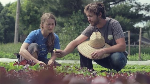 Jean-Martin Fortier et sa femme dans son jardin maraîcher