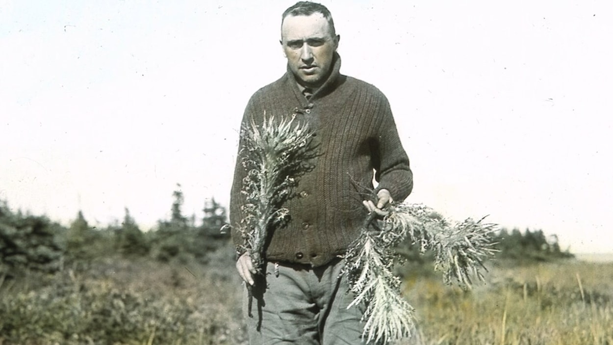 Conrad Kirouac (1885-1944), devenu en entrant en religion le frère Marie-Victorin, reconnut le chardon de Mingan en tant qu'espèce distincte. Conrad Kirouac (1885-1944), devenu en entrant en religion le frère Marie-Victorin, reconnut le chardon de Mingan en tant qu'espèce distincte.
