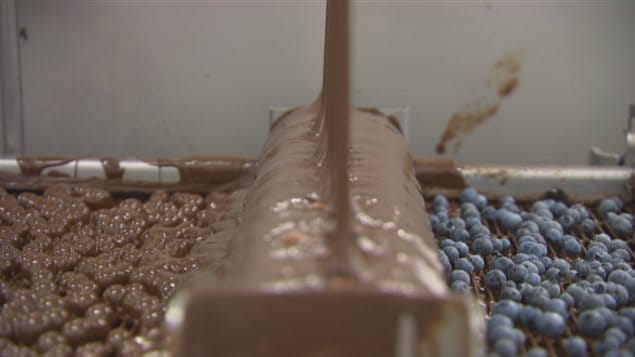 Chocolats aux bleuets Chocolats aux bleuets