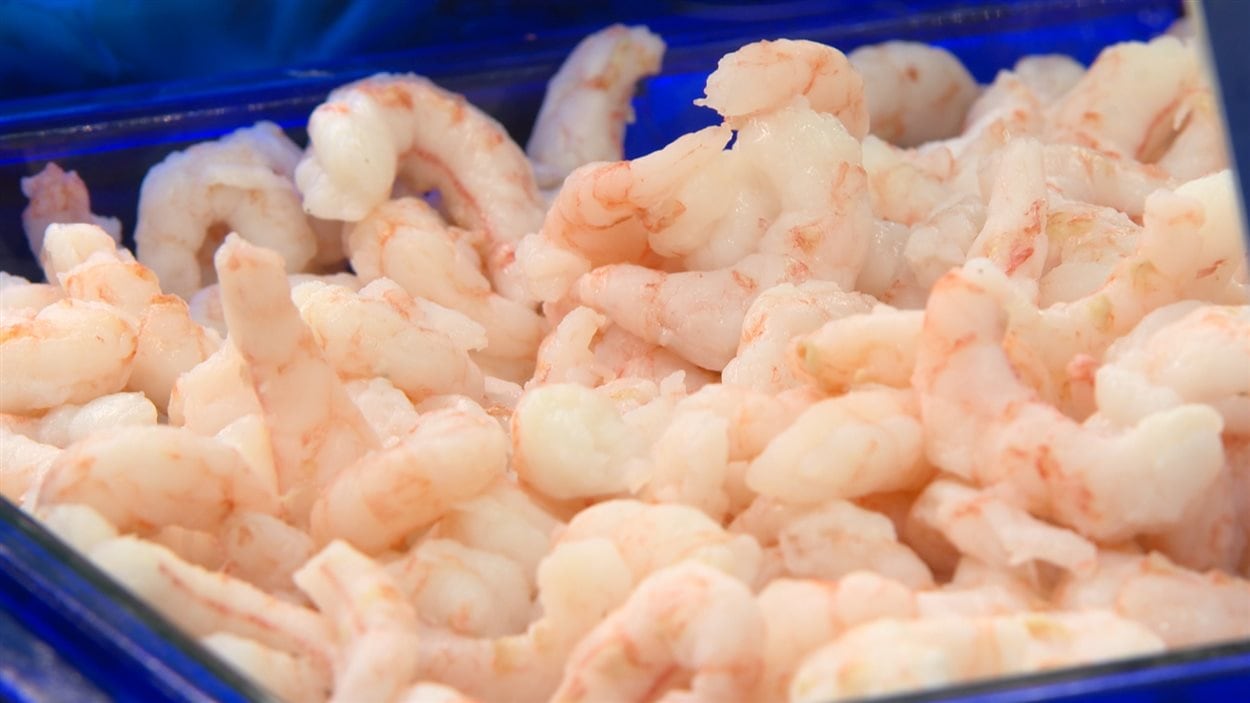 Enquête sur les crevettes nordiques Enquête sur les crevettes nordiques