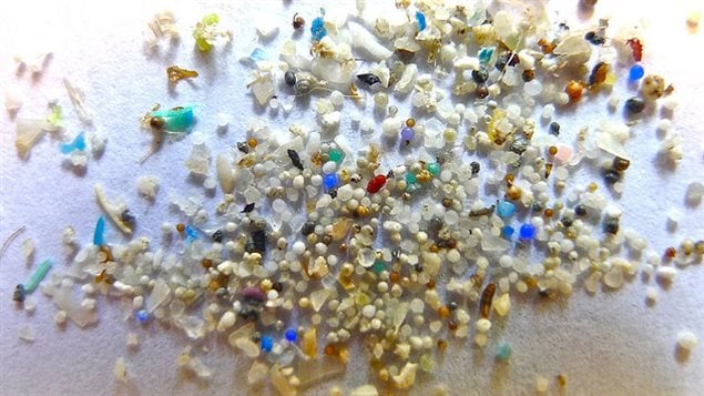 Des microbilles de plastiques Des microbilles de plastiques