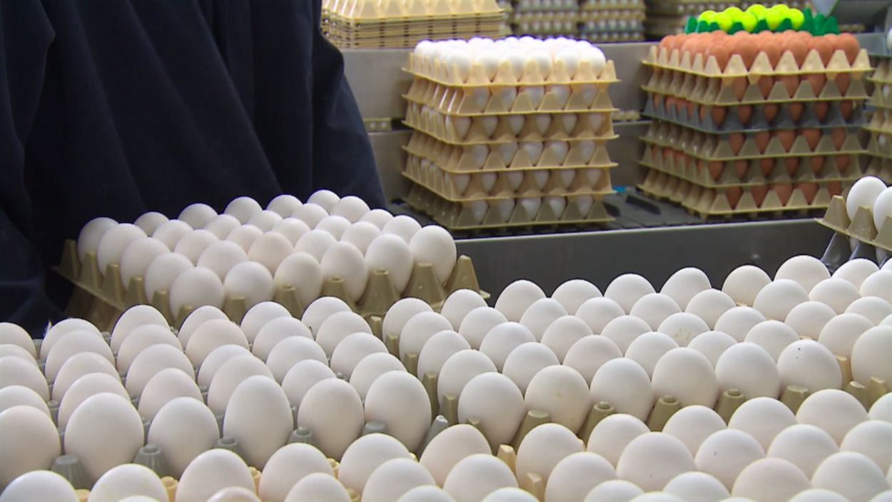 Les producteurs d'oeufs soumis à la gstion de l'offre Les producteurs d'oeufs soumis à la gstion de l'offre