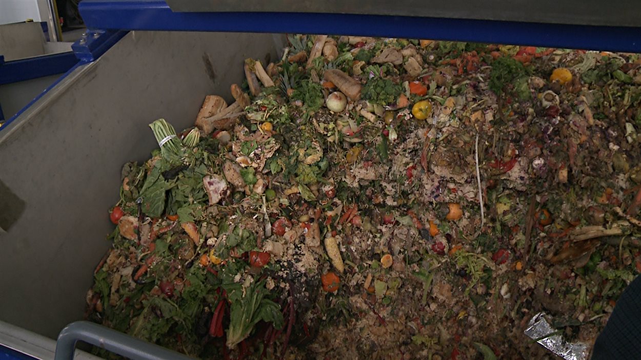 Déchets organiques qui seront transformés en gaz naturel. Déchets organiques qui seront transformés en gaz naturel.