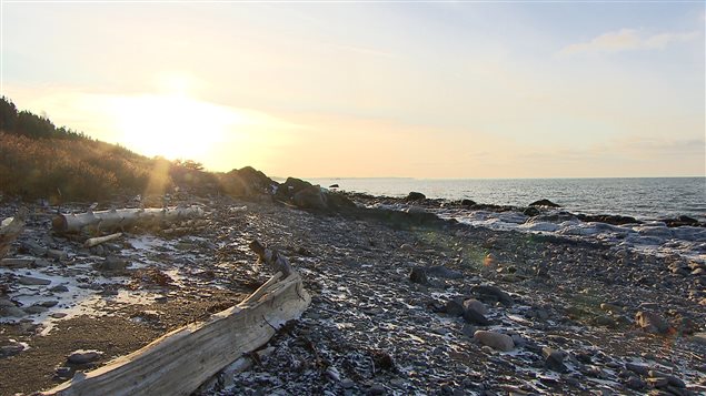 Rive du fleuve Saint-Laurent, à Baie-des-Sables Rive du fleuve Saint-Laurent, à Baie-des-Sables
