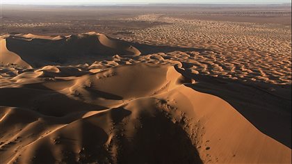 Une vaste étendue de dunes de sable dans le Sahara