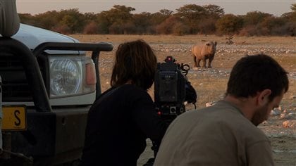 Cameraman filme de loin un rhinocéros