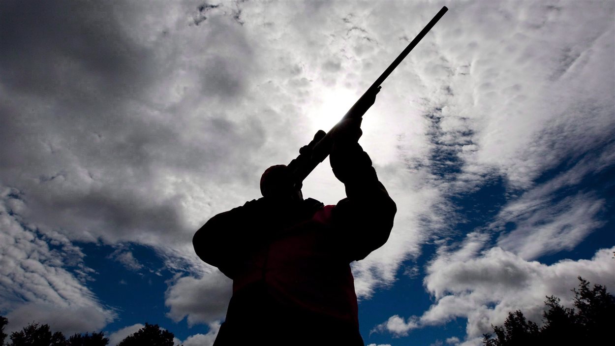 L'arme d'épaule est utilisée pour la chasse L'arme d'épaule est utilisée pour la chasse